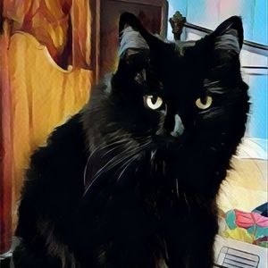 Meet your Posher, Kay